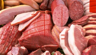 Benefits and harms of meat on health